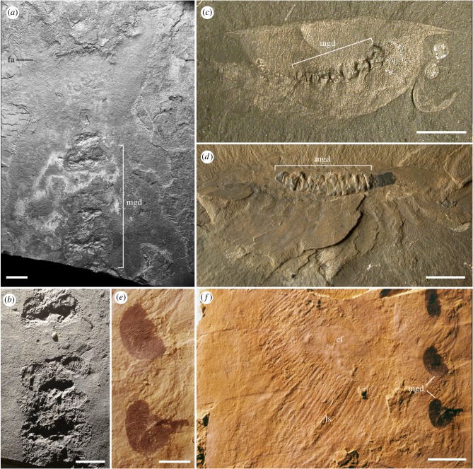 Figure 6.