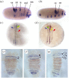 Figure 5.