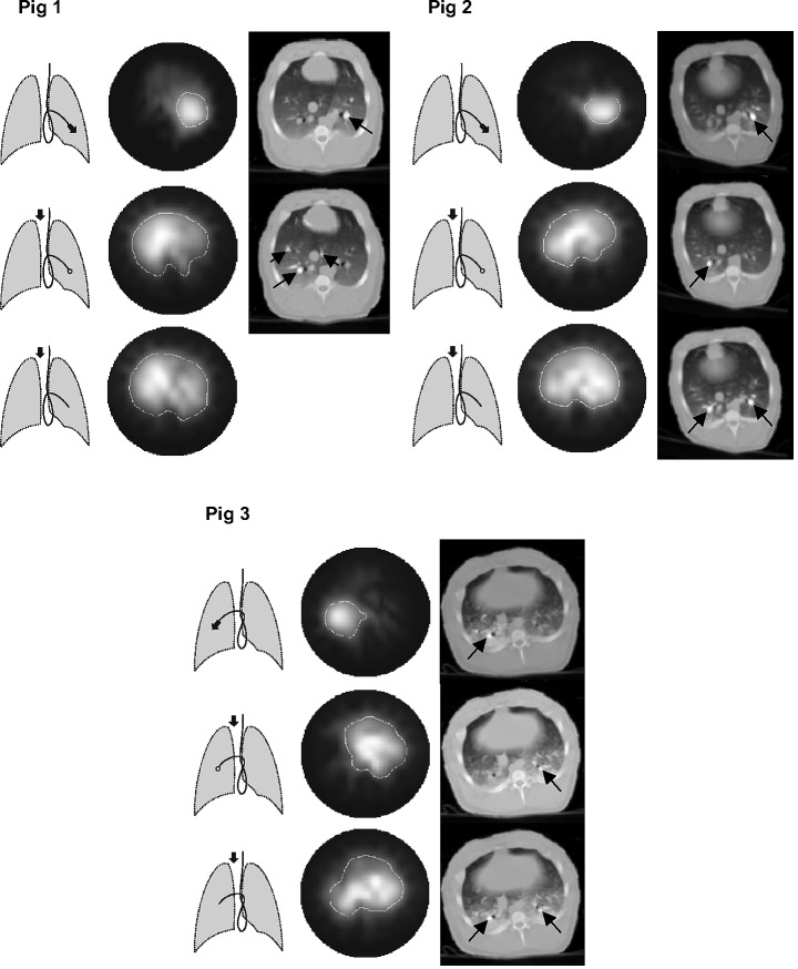 Fig. 4.