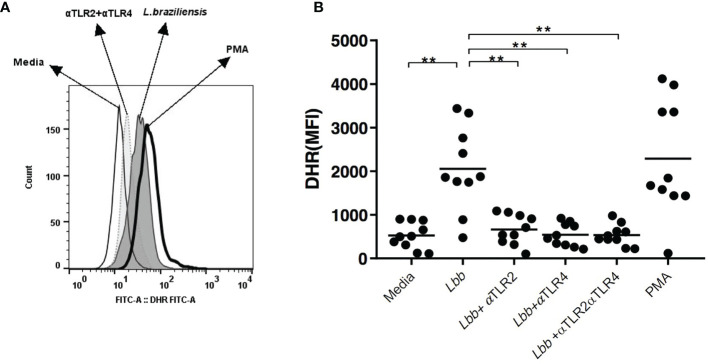 Figure 3