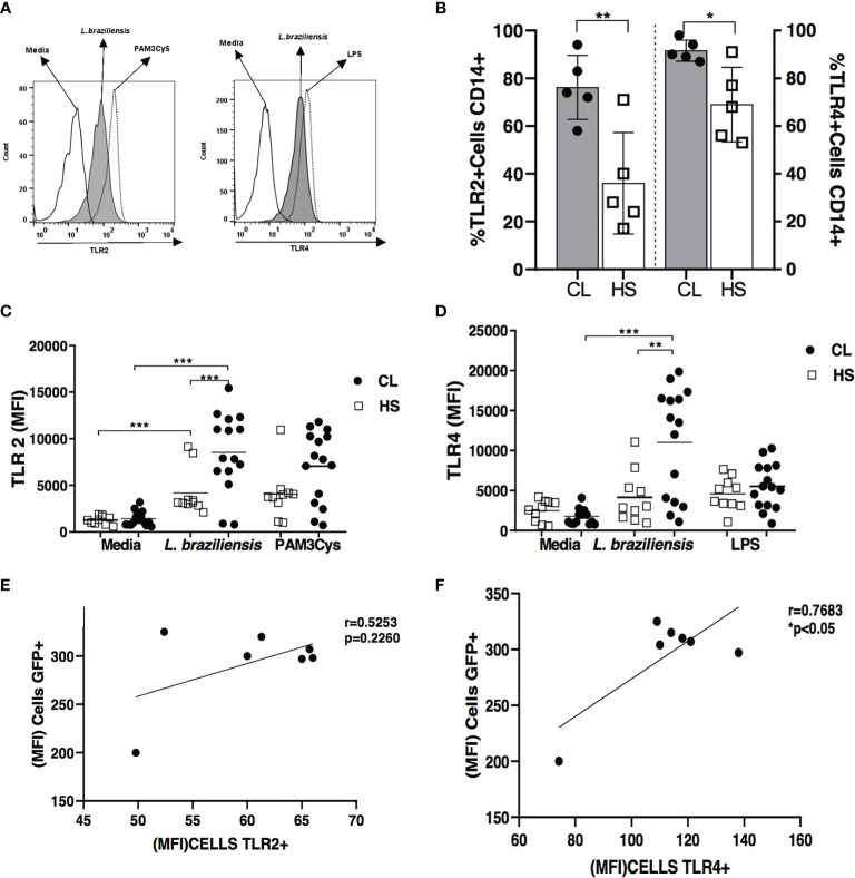 Figure 1