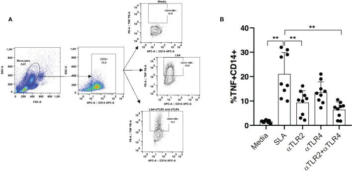 Figure 6