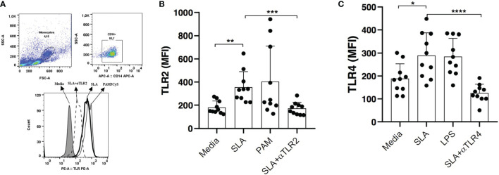 Figure 5