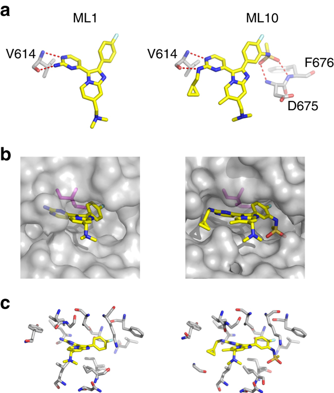 Fig. 4