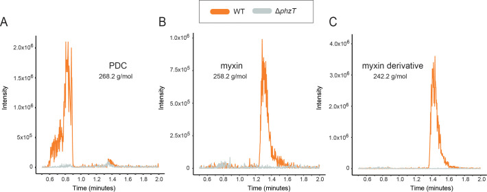 Figure 5—figure supplement 2.