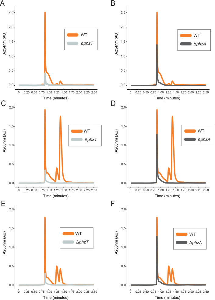 Figure 5—figure supplement 1.