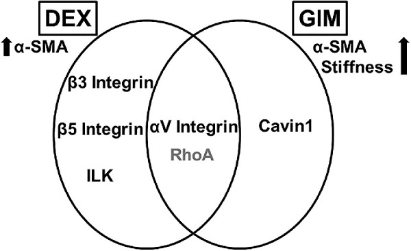 Figure 10.