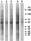 FIG. 5