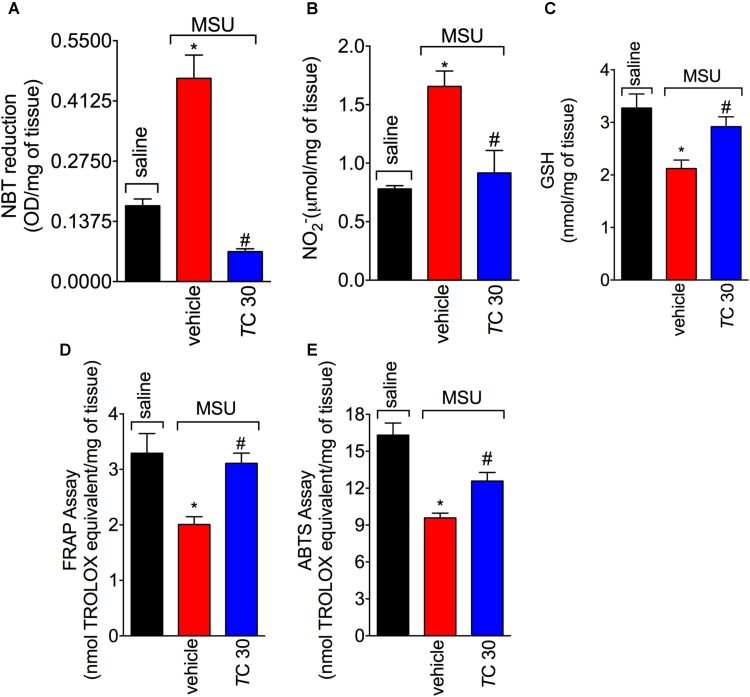 FIGURE 3