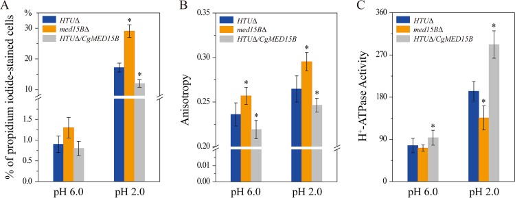 FIG 10