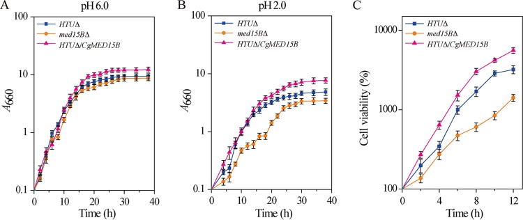 FIG 2