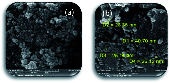 Fig. 7