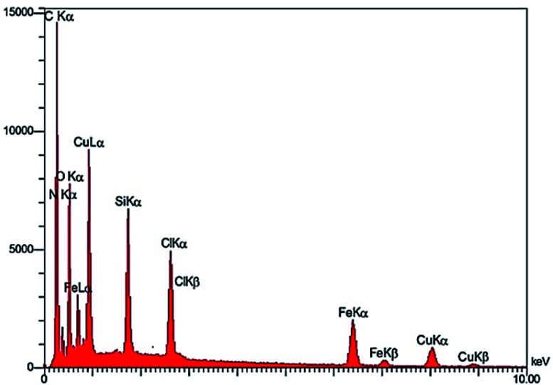 Fig. 6