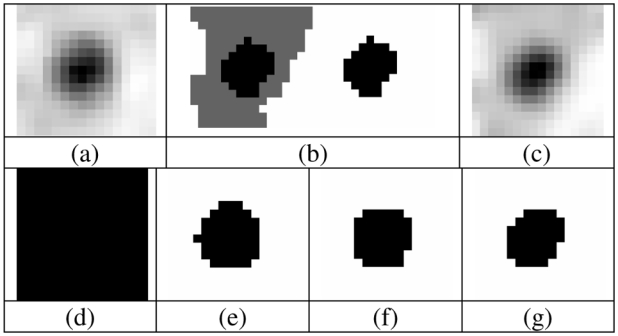 Fig. 9