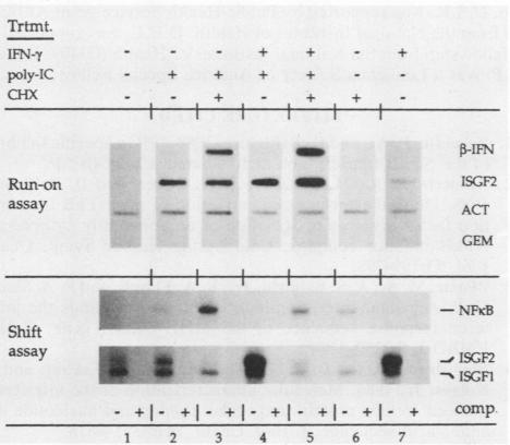 graphic file with name molcellb00042-0025-a.jpg