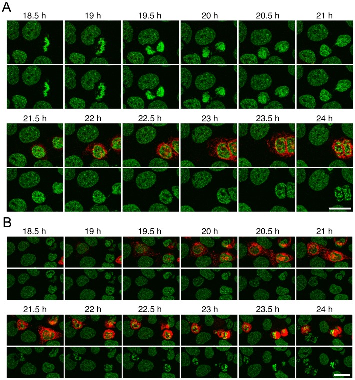 Figure 6