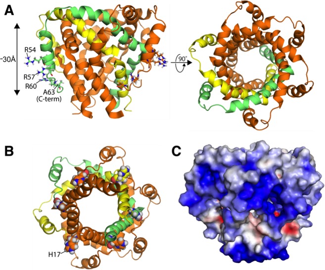 Figure 14