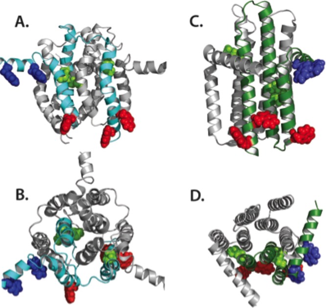 Figure 11