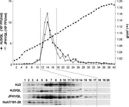 FIG. 6.