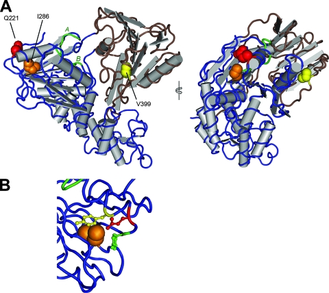 FIG. 9.