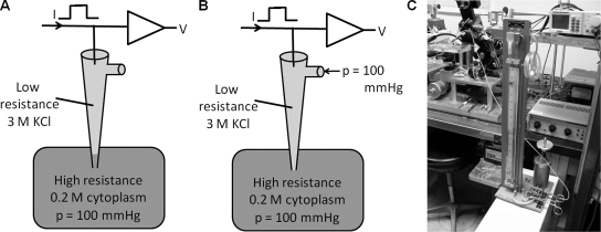 Figure 2.