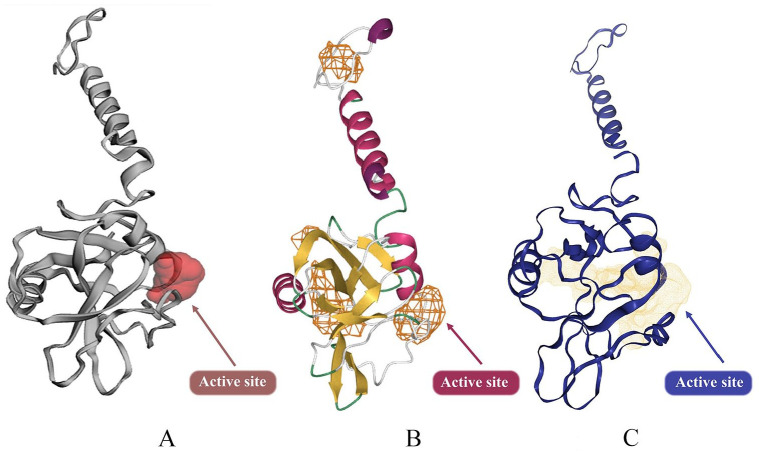 Figure 2.