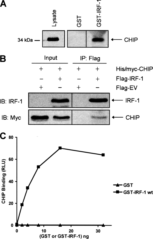 FIGURE 1.