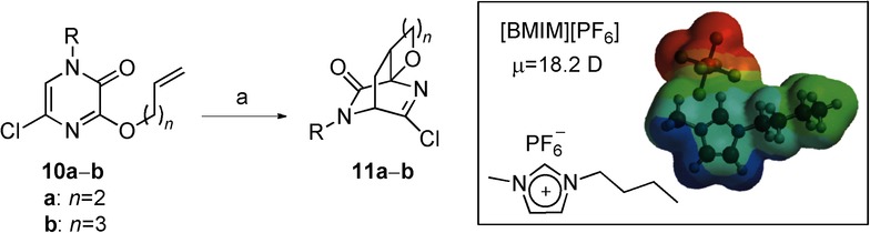 Scheme 4