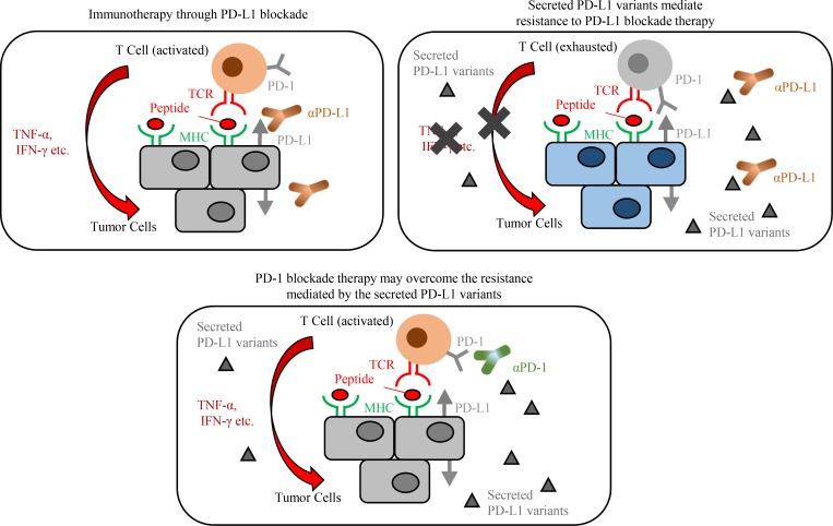 Figure 10.