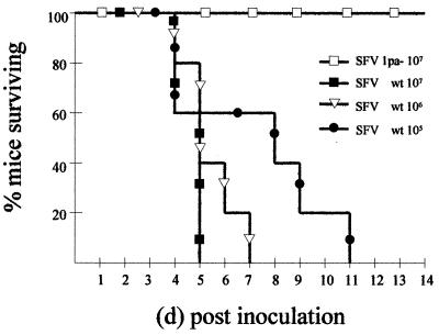 FIG. 7