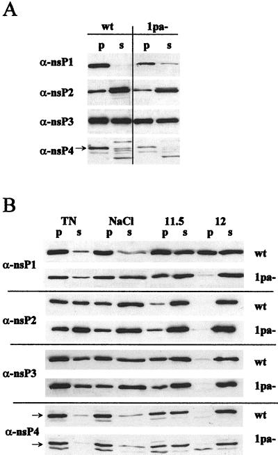 FIG. 5