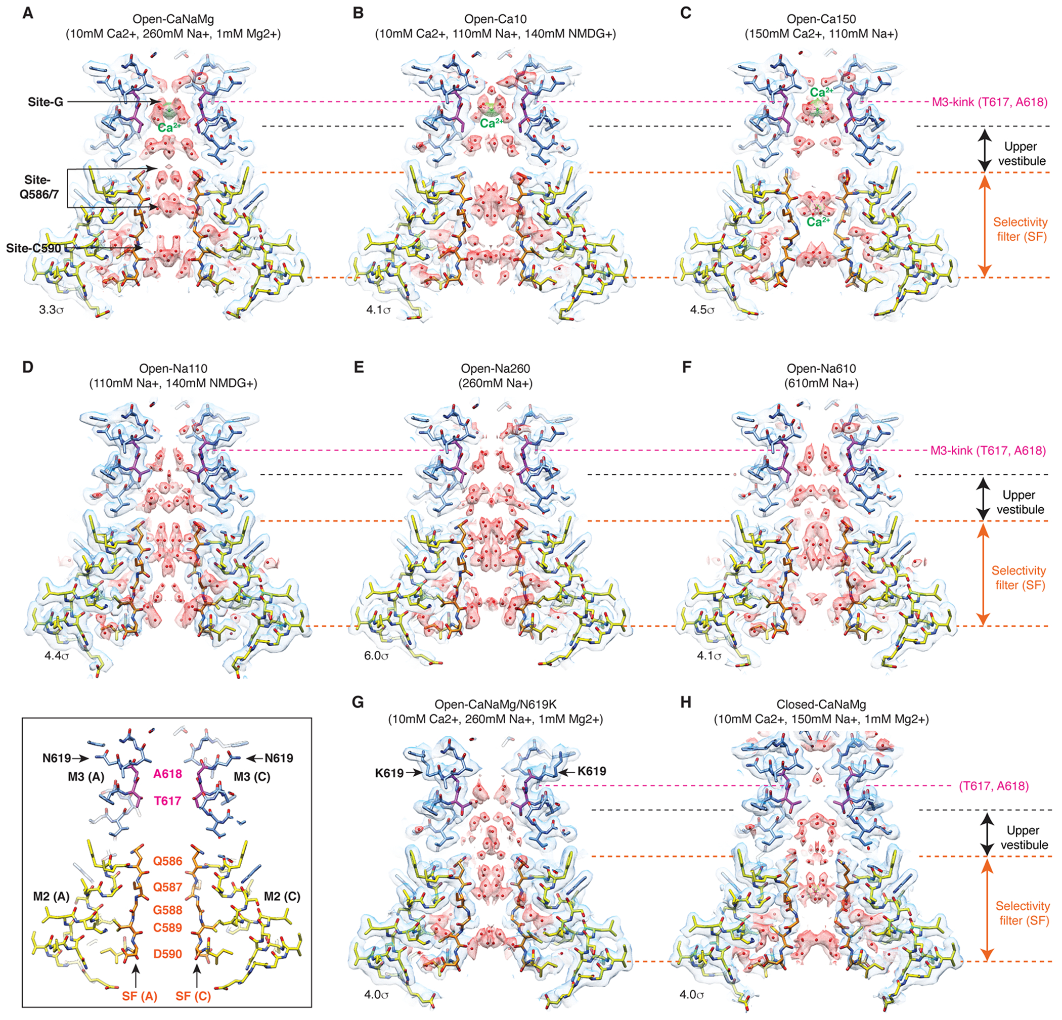 Extended Data Fig. 6