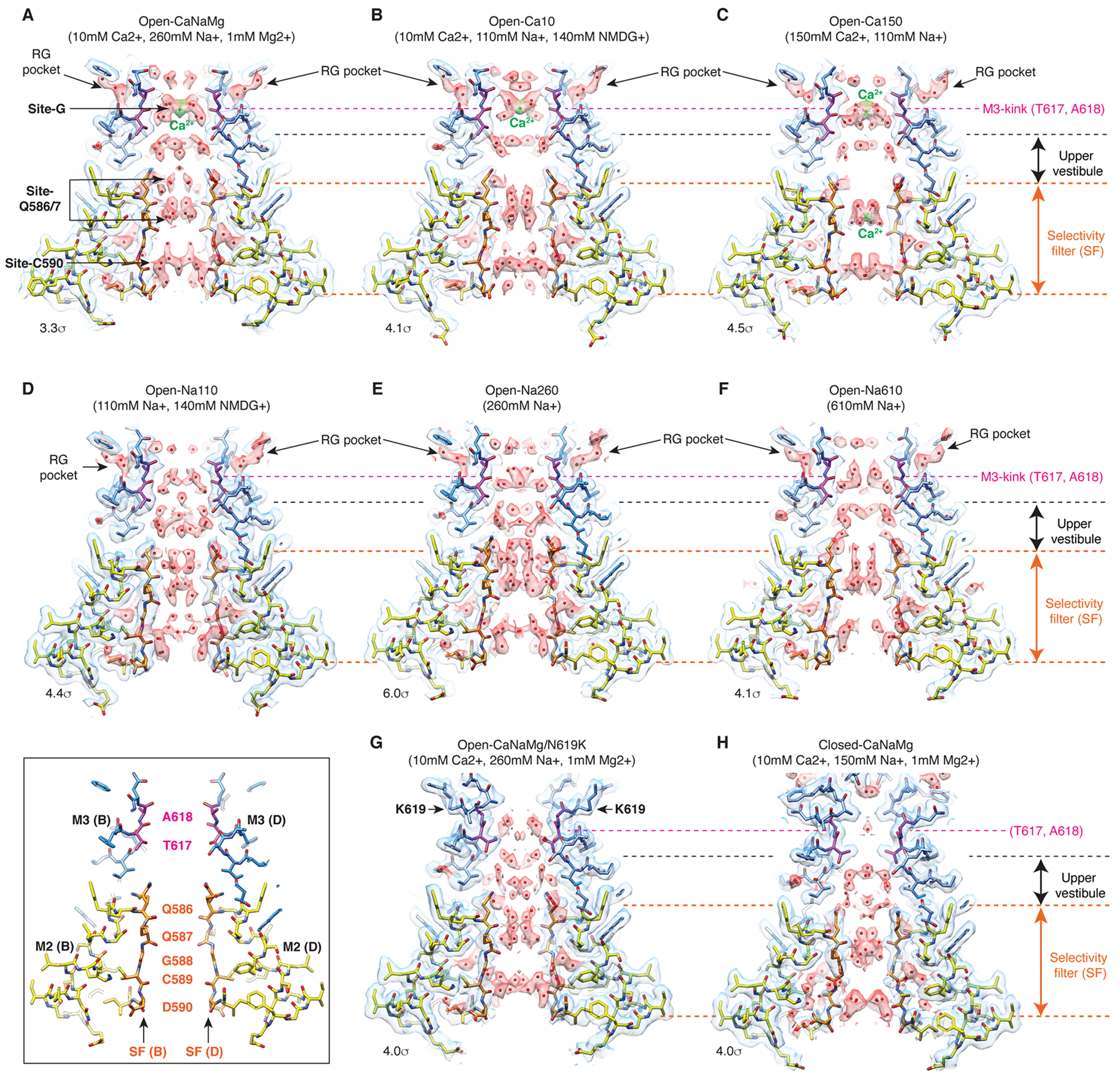 Extended Data Fig. 7