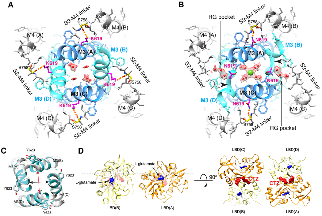 Figure 4.