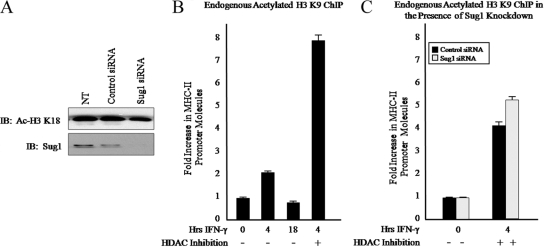 FIG. 6.