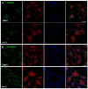 Fig. 3.