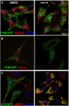 Fig. 7.