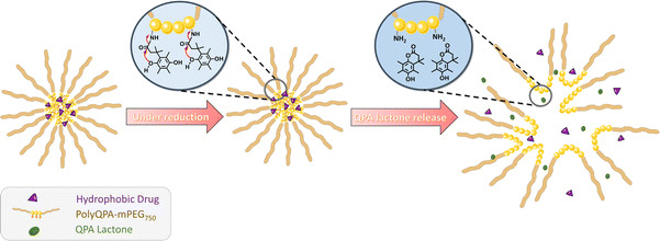 Scheme 2