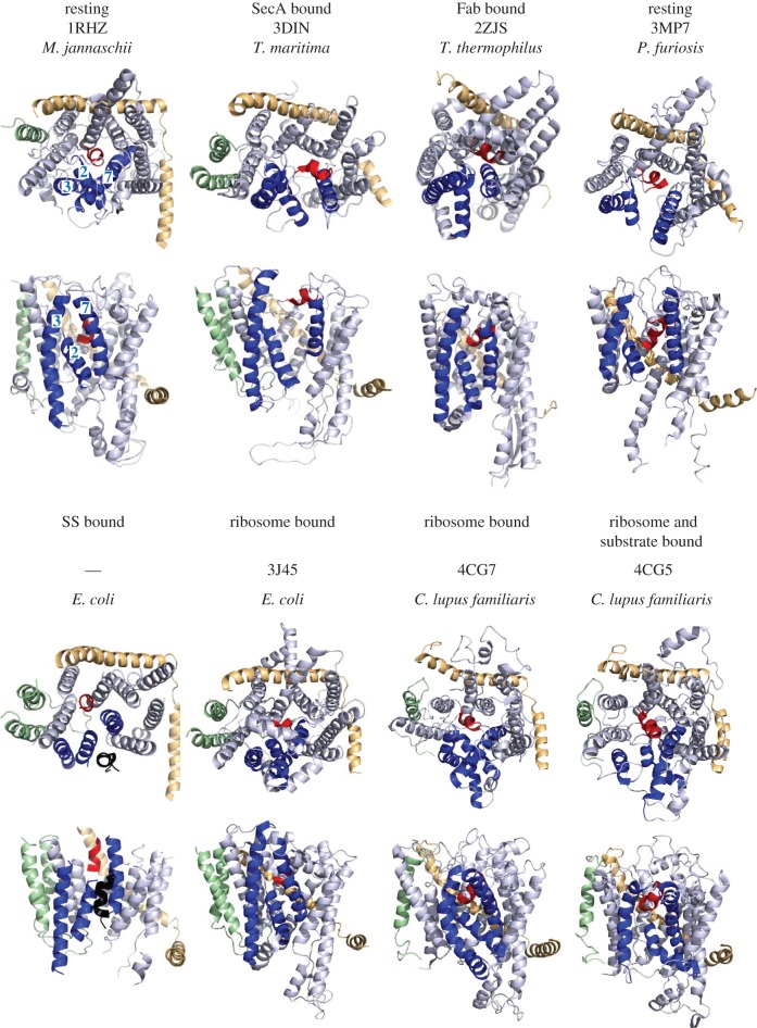 Figure 4.