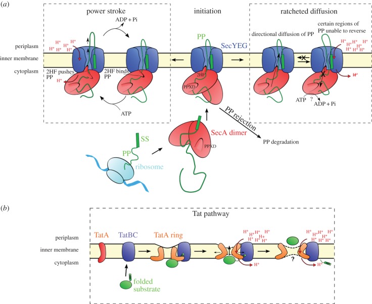 Figure 6.