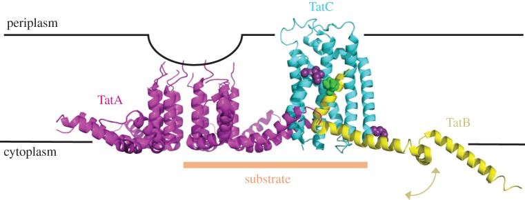 Figure 7.