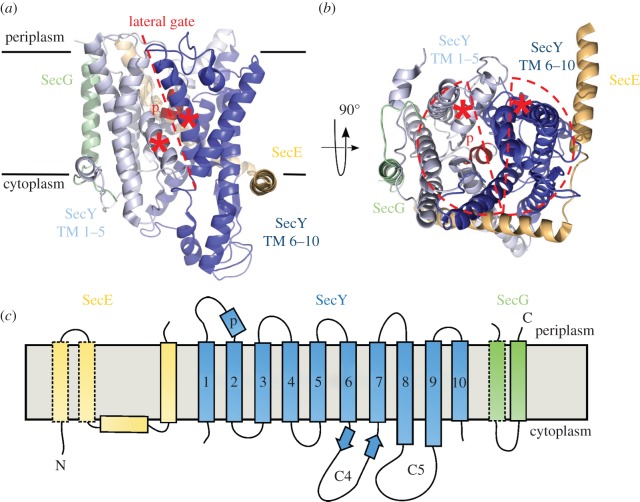 Figure 2.