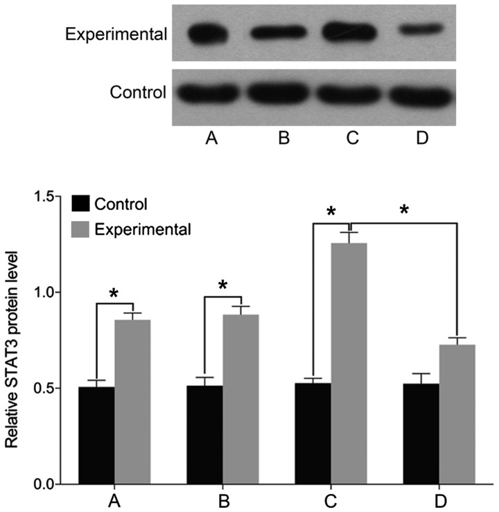 Figure 5.