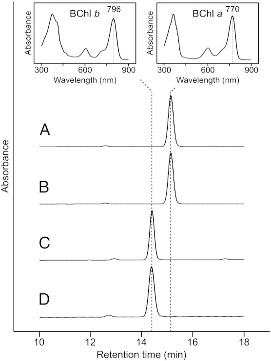 Fig. 5
