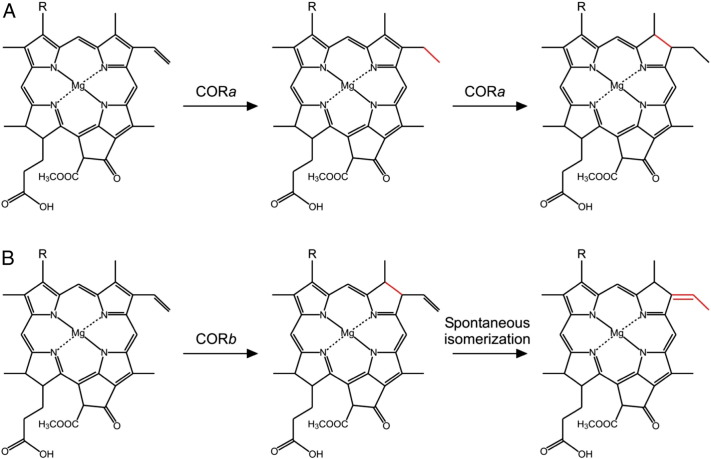 Fig. 6