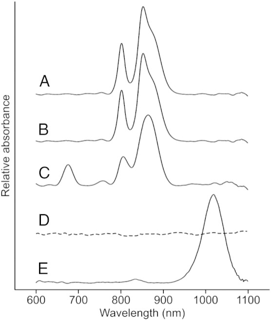 Fig. 7