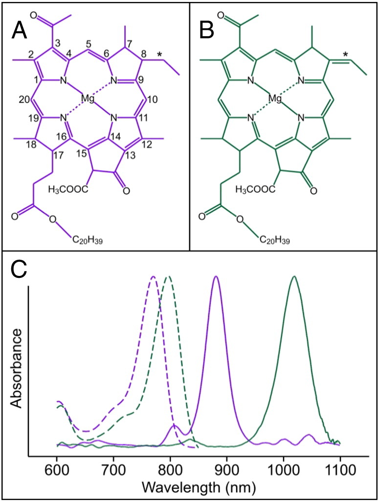 Fig. 1