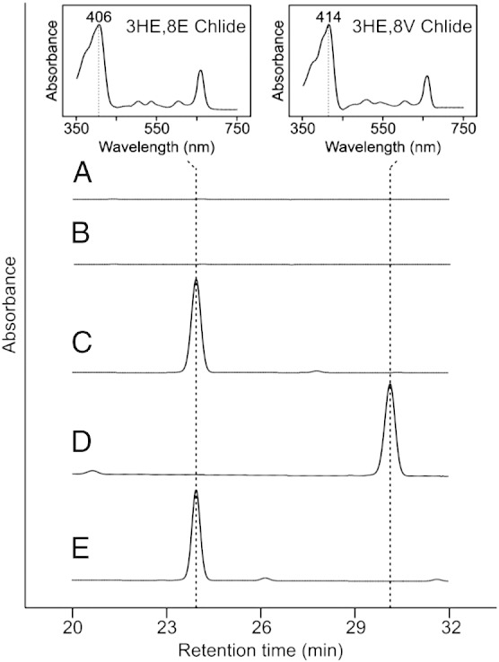 Fig. 3