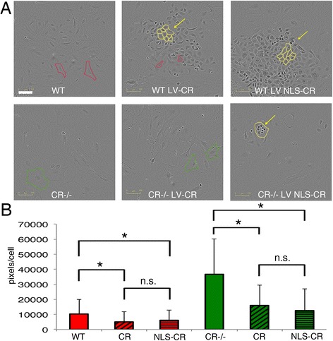 Fig. 7