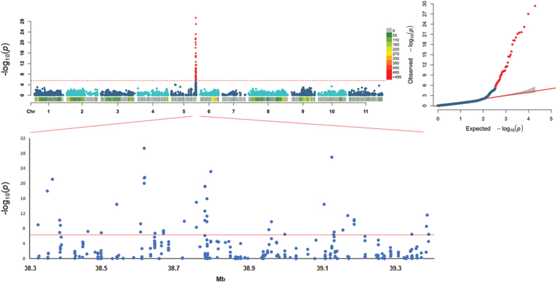 Fig. 4.